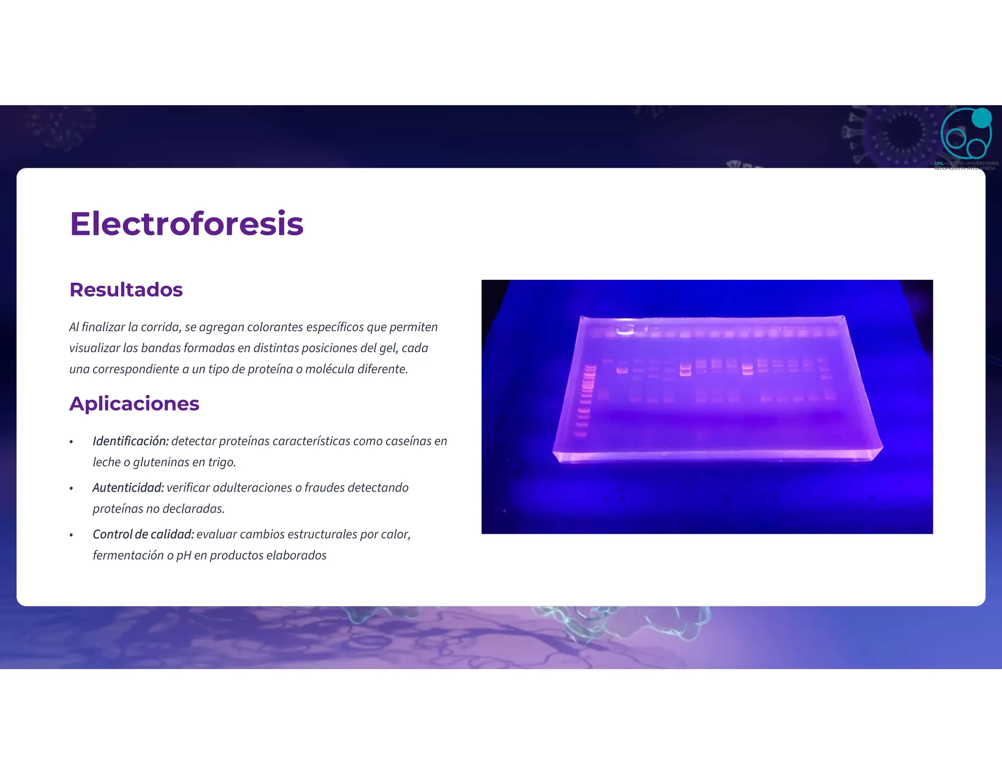 Electroforesis
Resultados
Al finalizar la corrida, se agregan colorantes específicos que permiten
visualizar las bandas formadas en distintas posiciones del gel, cada
una correspondiente a un tipo de proteína o molécula diferente.
Aplicaciones
• Identificación: detectar proteínas características como caseínas en
leche o gluteninas en trigo.
• Autenticidad: verificar adulteraciones o fraudes detectando
proteínas no declaradas.
• Control de calidad: evaluar cambios estructurales por calor,
fermentación o pH en productos elaborados
 