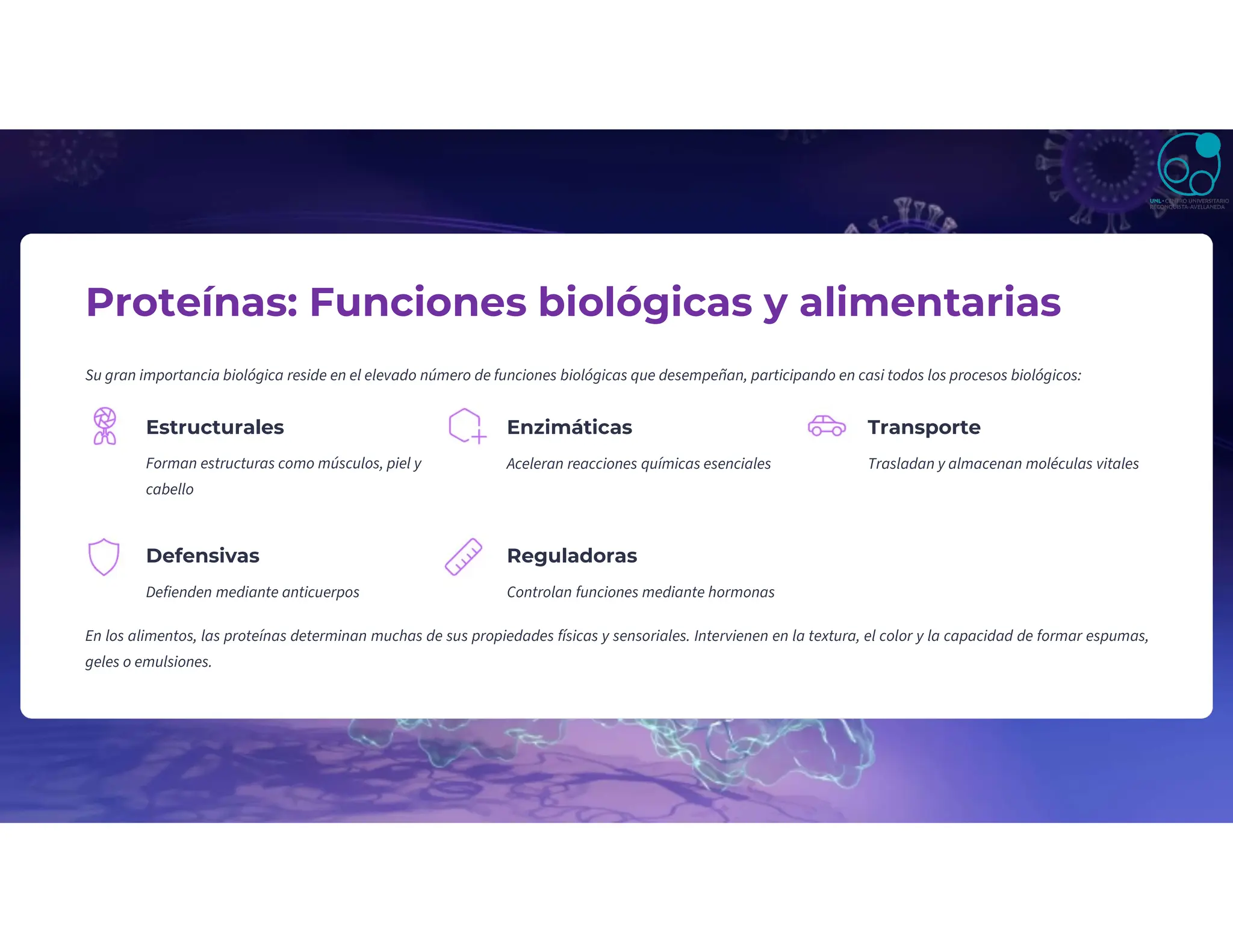 Proteínas: Funciones biológicas y alimentarias
Su gran importancia biológica reside en el elevado número de funciones biológicas que desempeñan, participando en casi todos los procesos biológicos:
Estructurales
Forman estructuras como músculos, piel y
cabello
Enzimáticas
Aceleran reacciones químicas esenciales
Transporte
Trasladan y almacenan moléculas vitales
Defensivas
Defienden mediante anticuerpos
Reguladoras
Controlan funciones mediante hormonas
En los alimentos, las proteínas determinan muchas de sus propiedades físicas y sensoriales. Intervienen en la textura, el color y la capacidad de formar espumas,
geles o emulsiones.
 