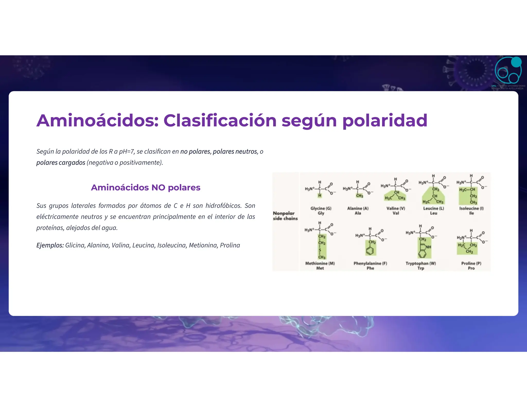 Aminoácidos: Clasificación según polaridad
Según la polaridad de los R a pH=7, se clasifican en no polares, polares neutros, o
polares cargados (negativa o positivamente).
Aminoácidos NO polares
Sus grupos laterales formados por átomos de C e H son hidrofóbicos. Son
eléctricamente neutros y se encuentran principalmente en el interior de las
proteínas, alejados del agua.
Ejemplos: Glicina, Alanina, Valina, Leucina, Isoleucina, Metionina, Prolina
 