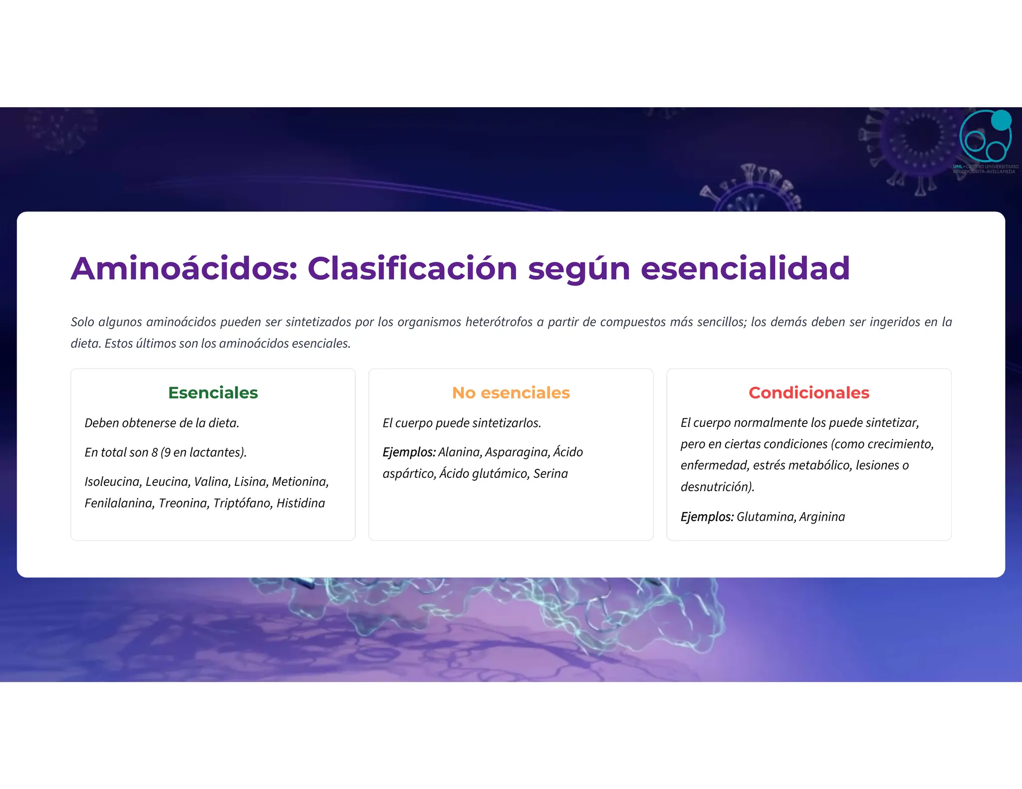 Aminoácidos: Clasificación según esencialidad
Solo algunos aminoácidos pueden ser sintetizados por los organismos heterótrofos a partir de compuestos más sencillos; los demás deben ser ingeridos en la
dieta. Estos últimos son los aminoácidos esenciales.
Esenciales
Deben obtenerse de la dieta.
En total son 8 (9 en lactantes).
Isoleucina, Leucina, Valina, Lisina, Metionina,
Fenilalanina, Treonina, Triptófano, Histidina
No esenciales
El cuerpo puede sintetizarlos.
Ejemplos: Alanina, Asparagina, Ácido
aspártico, Ácido glutámico, Serina
Condicionales
El cuerpo normalmente los puede sintetizar,
pero en ciertas condiciones (como crecimiento,
enfermedad, estrés metabólico, lesiones o
desnutrición).
Ejemplos: Glutamina, Arginina
 