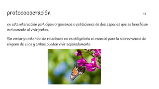 protocooperación 19
en esta interacción participan organismos o poblaciones de dos especies que se benefician
mutuamente al vivir juntas.
Sin embargo este tipo de relaciones no es obligatoria ni esencial para la sobrevivencia de
ninguno de ellos y ambos pueden vivir separadamente
 