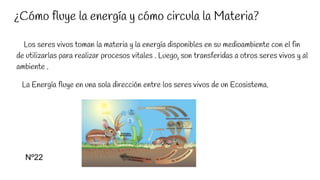 ¿Cómo fluye la energía y cómo circula la Materia?
Los seres vivos toman la materia y la energía disponibles en su medioambiente con el fin
de utilizarlas para realizar procesos vitales . Luego, son transferidas a otros seres vivos y al
ambiente .
La Energía fluye en una sola dirección entre los seres vivos de un Ecosistema.
Nº22
 