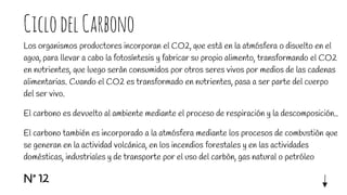 CiclodelCarbono
Los organismos productores incorporan el CO2, que està en la atmósfera o disuelto en el
agua, para llevar a cabo la fotosíntesis y fabricar su propio alimento, transformando el CO2
en nutrientes, que luego seràn consumidos por otros seres vivos por medios de las cadenas
alimentarias. Cuando el CO2 es transformado en nutrientes, pasa a ser parte del cuerpo
del ser vivo.
El carbono es devuelto al ambiente mediante el proceso de respiración y la descomposición..
El carbono también es incorporado a la atmósfera mediante los procesos de combustiòn que
se generan en la actividad volcánica, en los incendios forestales y en las actividades
domésticas, industriales y de transporte por el uso del carbòn, gas natural o petróleo
Nº 12
 