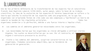 Uno de los primeros defensores de la transformación de las especies fue el naturalista
francés Jean Baptiste Lamarck (1744-1829), quien apoyó, sobre la base de su trabajo
científico, la idea de la evolución de las especies.El término lamarckismo se refiere a la
teoría que concibe la evolución de las especies como una progresión, en la que los
organismos van originando formas de vida cada vez más complejas y “perfectas”.La teoría de
Lamarck se basaba en los siguientes principios. Todos los
organismos tenderían a la perfección, debido a una fuerza interna o impulso vital.
● Los cambios en el ambiente generarían necesidades entre los organismos.
● Las necesidades harían que los organismos se vieran obligados a utilizar ciertos
órganos, los cuales se desarrollarían por su uso. Por el contrario, el desuso de un
órgano o estructura provocaría su atrofia.
● Frente a los cambios del ambiente, surgirían características en los
organismos, llamadas caracteres adquiridos, que se heredaron de
generación en generación.
Ellamarckismo
 