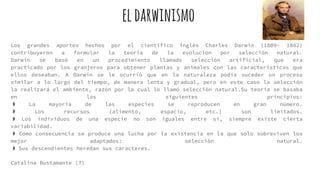 eldarwinismo
Los grandes aportes hechos por el científico inglés Charles Darwin (1809- 1882)
contribuyeron a formular la teoría de la evolución por selección natural.
Darwin se basó en un procedimiento llamado selección artificial, que era
practicado por los granjeros para obtener plantas y animales con las características que
ellos deseaban. A Darwin se le ocurrió que en la naturaleza podía suceder un proceso
similar a lo largo del tiempo, de manera lenta y gradual, pero en este caso la selección
la realizará el ambiente, razón por la cual lo llamó selección natural.Su teoría se basaba
en los siguientes principios:
◗ La mayoría de las especies se reproducen en gran número.
◗ Los recursos (alimento, espacio, etc.) son limitados.
◗ Los individuos de una especie no son iguales entre sí, siempre existe cierta
variabilidad.
◗ Como consecuencia se produce una lucha por la existencia en la que solo sobreviven los
mejor adaptados: selección natural.
◗ Sus descendientes heredan sus caracteres.
Catalina Bustamante (7)
 