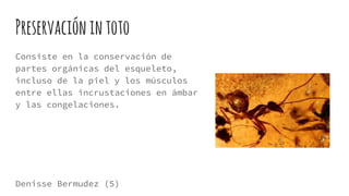 Preservaciónintoto
Consiste en la conservación de
partes orgánicas del esqueleto,
incluso de la piel y los músculos
entre ellas incrustaciones en ámbar
y las congelaciones.
Denisse Bermudez (5)
 