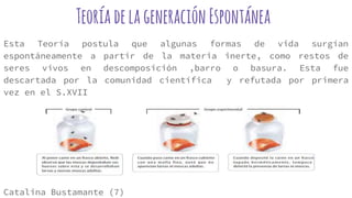 TeoríadelageneraciónEspontánea
Esta Teoría postula que algunas formas de vida surgían
espontáneamente a partir de la materia inerte, como restos de
seres vivos en descomposición ,barro o basura. Esta fue
descartada por la comunidad científica y refutada por primera
vez en el S.XVII
Catalina Bustamante (7)
 