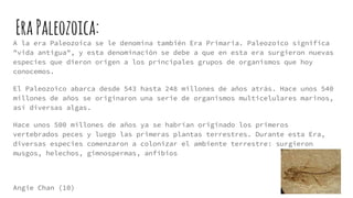 EraPaleozoica:
A la era Paleozoica se le denomina también Era Primaria. Paleozoico significa
"vida antigua", y esta denominación se debe a que en esta era surgieron nuevas
especies que dieron origen a los principales grupos de organismos que hoy
conocemos.
El Paleozoico abarca desde 543 hasta 248 millones de años atrás. Hace unos 540
millones de años se originaron una serie de organismos multicelulares marinos,
así diversas algas.
Hace unos 500 millones de años ya se habrían originado los primeros
vertebrados peces y luego las primeras plantas terrestres. Durante esta Era,
diversas especies comenzaron a colonizar el ambiente terrestre: surgieron
musgos, helechos, gimnospermas, anfibios
Angie Chan (10)
 