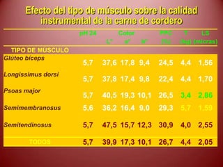 pH 24 Color PPC T LS
L* a* b* (%) (kg) (micras)
TIPO DE MÚSCULO
Glúteo bíceps
5,7 37,6 17,8 9,4 24,5 4,4 1,56
Longissimus dorsi
5,7 37,8 17,4 9,8 22,4 4,4 1,70
Psoas major
5,7 40,5 19,3 10,1 26,5 3,4 2,86
Semimembranosus 5,6 36,2 16,4 9,0 29,3 5,7 1,59
Semitendinosus 5,7 47,5 15,7 12,3 30,9 4,0 2,55
TODOS 5,7 39,9 17,3 10,1 26,7 4,4 2,05
Efecto del tipo de músculo sobre la calidad
instrumental de la carne de cordero
 