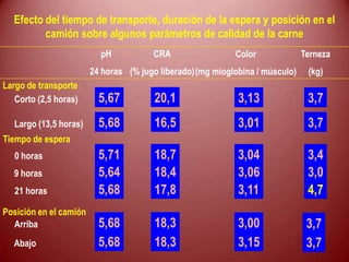 Largo de transporte
Corto (2,5 horas)
Largo (13,5 horas)
Tiempo de espera
0 horas
9 horas
21 horas
Posición en el camión
Arriba
Abajo
5,67
5,68
pH
24 horas
5,71
5,64
5,68
5,68
5,68
20,1
16,5
CRA
(% jugo liberado)
18,7
18,4
17,8
18,3
18,3
3,13
3,01
Color
(mg mioglobina / músculo)
3,04
3,06
3,11
3,00
3,15
3,7
3,7
Terneza
(kg)
3,4
3,0
4,7
3,7
3,7
Efecto del tiempo de transporte, duración de la espera y posición en el
camión sobre algunos parámetros de calidad de la carne
 