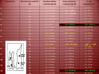 Tratamiento Momento de medición
(h)
Aerobios totales
( colonias log 10)
Entero-bacterias
( colonias log 10)
E. coli
(colonias/cm2)
1 0 2,5 ± 0,19 bcde 1,4 ± 0,205 ab 15 ± 7,4 b
24 3,0 ± 0,19 abcd 2,0 ± 0,204 a 73 ± 35,7 a
2 0 2,6 ± 0,19 bcde 2,0 ± 0,204 ab 33 ± 16,4 ab
24 2,8 ± 0,19 abcd 1,4 ± 0,205 ab 15 ± 7,4 ab
3 0 2,6 ± 0,19 bcde 1,6 ± 0,204 ab 35 ± 17,4 ab
24 2,2 ± 0,19 cdef 1,3 ± 0,206 ab 19 ± 9,5 ab
4 0 3,7 ± 0,19 a 2,4 ± 0,203 a 221± 108,4 a
24 3,0 ± 0,19 abcd 1,7 ± 0,204 ab 48 ± 23,8 ab
5 0 3,2 ± 0,19 ab 1,8 ± 0,204 ab 32 ± 15,7 ab
24 1,8 ± 0,19 ef 0,8 ± 0,211 b 4 ± 1,97 b
6 0 2,9 ± 0,19 abcd 1,7 ± 0,204 ab 40 ± 19,9 ab
24 2,4 ± 0,19 bcde 1,4 ± 0,205 ab 19 ± 9,5 ab
7 0 2,8 ± 0,19 abcd 1,2 ± 0,207 b 11 ± 5,7 b
24 1,3 ± 0,19 f - 6,0 ± 157,9 ab 1,08 E-6 ± 1,08
E151 ab
8 0 2,7 ± 0,19 bcde 1,7 ± 0,204 ab 39 ± 19,1 ab
24 2,0 ± 0,19 def 1,2 ± 0,207 ab 12 ± 5,9 ab
9 0 2,7 ± 0,19 bcde 1,8 ± 0,204 ab 52 ± 25,7 ab
24 2,5 ± 0,19 bcde 1,2 ± 0,207 ab 15 ± 7,6 ab
10 0 3,0 ± 0,19 abcd 1,4 ± 0,206 ab 21 ± 10,6 ab
24 2,8 ± 0,19 abcd 1,3 ± 0,206 ab 15 ± 7,6 ab
11 0 3,1 ± 0,19 abc 1,8 ± 0,204 ab 52 ± 25,7ab
24 2,9 ± 0,19 abcd 1,2 ± 0,207 ab 15 ± 7,6 ab
12 0 3,3 ± 0,22 abc 2,3 ± 0,240 ab 164 ± 96,3 ab
24 2,5 ± 0,22 bcde 1,8 ± 0,241 ab 60 ± 35,3 ab
 