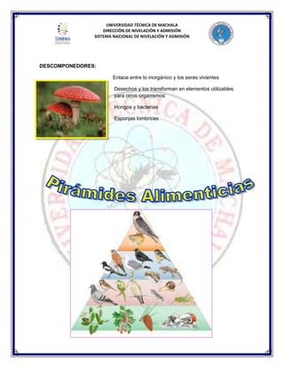 UNIVERSIDAD TÉCNICA DE MACHALA
DIRECCIÓN DE NIVELACIÓN Y ADMISIÓN
SISTEMA NACIONAL DE NIVELACIÓN Y ADMISIÓN
DESCOMPONEDORES:
Enlace entre lo inorgánico y los seres vivientes
Desechos y los transforman en elementos utilizables
para otros organismos
Hongos y bacterias
Esponjas lombrices
 