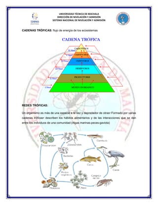 UNIVERSIDAD TÉCNICA DE MACHALA
DIRECCIÓN DE NIVELACIÓN Y ADMISIÓN
SISTEMA NACIONAL DE NIVELACIÓN Y ADMISIÓN
CADENAS TRÓFICAS: flujo de energía de los ecosistemas
REDES TRÓFICAS:
Un organismo es más de una especie a la vez y depredador de otras• Formado por varias
cadenas tróficas• describen los hábitos alimentarios y de las interacciones que se dan
entre los individuos de una comunidad (Algas marinas-peces-gaviota)
 