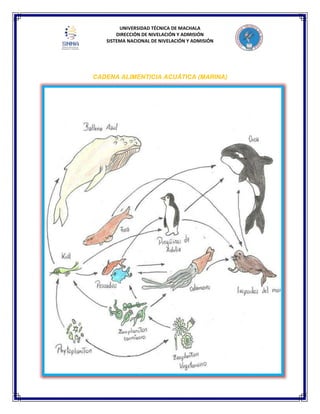 UNIVERSIDAD TÉCNICA DE MACHALA
DIRECCIÓN DE NIVELACIÓN Y ADMISIÓN
SISTEMA NACIONAL DE NIVELACIÓN Y ADMISIÓN
CADENA ALIMENTICIA ACUÁTICA (MARINA)
 