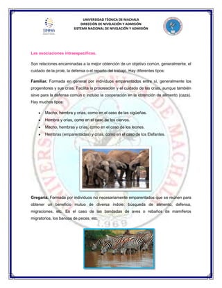 UNIVERSIDAD TÉCNICA DE MACHALA
DIRECCIÓN DE NIVELACIÓN Y ADMISIÓN
SISTEMA NACIONAL DE NIVELACIÓN Y ADMISIÓN
Las asociaciones intraespecíficas.
Son relaciones encaminadas a la mejor obtención de un objetivo común, generalmente, el
cuidado de la prole, la defensa o el reparto del trabajo. Hay diferentes tipos:
Familiar. Formada en general por individuos emparentados entre sí, generalmente los
progenitores y sus crías. Facilita la procreación y el cuidado de las crías, aunque también
sirve para la defensa común o incluso la cooperación en la obtención de alimento (caza).
Hay muchos tipos:
Macho, hembra y crías, como en el caso de las cigüeñas.
Hembra y crías, como en el caso de los ciervos.
Macho, hembras y crías, como en el caso de los leones.
Hembras (emparentadas) y crías, como en el caso de los Elefantes.
Gregaria. Formada por individuos no necesariamente emparentados que se reúnen para
obtener un beneficio mutuo de diversa índole: búsqueda de alimento, defensa,
migraciones, etc. Es el caso de las bandadas de aves o rebaños de mamíferos
migratorios, los bancos de peces, etc.
 