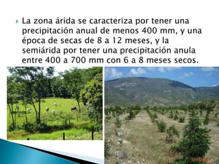 La zona árida se caracteriza por tener una precipitación anual de menos 400 mm, y una época de secas de 8 a 12 meses, y la semiárida por tener una precipitación anula entre 400 a 700 mm con 6 a 8 meses secos.
