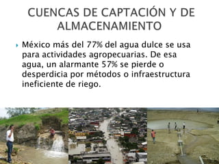 México más del 77% del agua dulce se usa para actividades agropecuarias. De esa agua, un alarmante 57% se pierde o desperdicia por métodos o infraestructura ineficiente de riego. CUENCAS DE CAPTACIÓN Y DE ALMACENAMIENTO