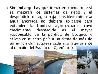 Sin embargo hay que tomar en cuenta que si se mejoran los sistemas de riego y el desperdicio de agua baja sensiblemente, esa agua ahorrada no debiera aplicarse para extender la frontera agropecuaria, cuyo crecimiento desmedido es el mayor responsable de la pérdida de bosques y selvas en nuestro país a un ritmo de más de un millón de hectáreas cada año (equivalente al tamaño del Estado de Querétaro).