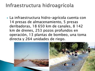 La infraestructura hidro-agrícola cuenta con 14 presas de almacenamiento, 5 presas deribadoras, 18 650 km de canales, 8 142 km de drenes, 253 pozos profundos en operación, 13 plantas de bombeo, una toma directa y 264 unidades de riego.Infraestructura hidroagrícola
