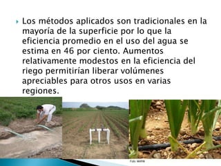 Los métodos aplicados son tradicionales en la mayoría de la superficie por lo que la eficiencia promedio en el uso del agua se estima en 46 por ciento. Aumentos relativamente modestos en la eficiencia del riego permitirían liberar volúmenes apreciables para otros usos en varias regiones.