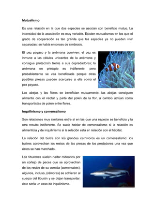 Mutualismo
Es una relación en la que dos especies se asocian con beneficio mutuo. La
intensidad de la asociación es muy variable. Existen mutualismos en los que el
grado de cooperación es tan grande que las especies ya no pueden vivir
separadas: se habla entonces de simbiosis.
El pez payaso y la anémona conviven: el pez es
inmune a las células urticantes de la anémona y
consigue protección frente a sus depredadores; la
anémona en principio es indiferente, pero
probablemente se vea beneficiada porque otras
posibles presas pueden acercarse a ella como el
pez payaso.
Las abejas y las flores se benefician mutuamente: las abejas consiguen
alimento con el néctar y parte del polen de la flor, a cambio actúan como
transportistas de polen entre flores.
Inquilinismo y comensalismo
Son relaciones muy similares entre sí en las que una especie se beneficia y la
otra resulta indiferente. Se suele hablar de comensalismo si la relación es
alimenticia y de inquilinismo si la relación está en relación con el hábitat.
La relación del buitre con los grandes carnívoros es un comensalismo: los
buitres aprovechan los restos de las presas de los predadores una vez que
éstos se han marchado.
Los tiburones suelen nadar rodeados por
un cortejo de peces que se aprovechan
de los restos de su comida (comensales);
algunos, incluso, (rémoras) se adhieren al
cuerpo del tiburón y se dejan transportar:
éste sería un caso de inquilinismo.
 