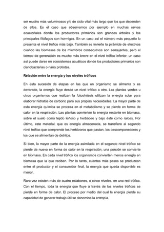 ser mucho más voluminosos y/o de ciclo vital más largo que los que dependen
de ellos. Es el caso que observamos por ejemplo en muchas selvas
ecuatoriales donde los productores primarios son grandes árboles y los
principales fitófagos son hormigas. En un caso así el número más pequeño lo
presenta el nivel trófico más bajo. También se invierte la pirámide de efectivos
cuando las biomasas de los miembros consecutivos son semejantes, pero el
tiempo de generación es mucho más breve en el nivel trófico inferior; un caso
así puede darse en ecosistemas acuáticos donde los productores primarios son
cianobacterias o nano protistas.
Relación entre la energía y los niveles tróficos
En esta sucesión de etapas en las que un organismo se alimenta y es
devorado, la energía fluye desde un nivel trófico a otro. Las plantas verdes u
otros organismos que realizan la fotosíntesis utilizan la energía solar para
elaborar hidratos de carbono para sus propias necesidades. La mayor parte de
esta energía química se procesa en el metabolismo y se pierde en forma de
calor en la respiración. Las plantas convierten la energía restante en biomasa,
sobre el suelo como tejido leñoso y herbáceo y bajo éste como raíces. Por
último, este material, que es energía almacenada, se transfiere al segundo
nivel trófico que comprende los herbívoros que pastan, los descomponedores y
los que se alimentan de detritos.
Si bien, la mayor parte de la energía asimilada en el segundo nivel trófico se
pierde de nuevo en forma de calor en la respiración, una porción se convierte
en biomasa. En cada nivel trófico los organismos convierten menos energía en
biomasa que la que reciben. Por lo tanto, cuantos más pasos se produzcan
entre el productor y el consumidor final, la energía que queda disponible es
menor.
Rara vez existen más de cuatro eslabones, o cinco niveles, en una red trófica.
Con el tiempo, toda la energía que fluye a través de los niveles tróficos se
pierde en forma de calor. El proceso por medio del cual la energía pierde su
capacidad de generar trabajo útil se denomina la entropía.
 