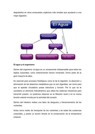 degradarlos en otros compuestos orgánicos más simples que ayudaran a una
mejor digestión.
El agua y el organismo
Dentro del organismo, el agua es un componente indispensable para todos los
tejidos corporales; como anteriormente hemos nombrado, forma parte de la
gran mayoría de ellos.
Es esencial para procesos fisiológicos como el de la digestión, la absorción y
eliminación de los desechos metabólicos que no son digeribles, así como para
que el aparato circulatorio posea estructura y función. Por lo que se le
considera un elemento hidrodinámico que utiliza los sistemas mecánicos para
transmitir presión. Lo podemos observar en la filtración renal o en la misma
tensión arterial movida por la actividad del corazón.
Dentro del intestino realiza una labor de desguace y fraccionamiento de los
nutrientes.
Actúa como medio de transporte de los nutrientes y de todas las sustancias
corporales, y posee un acción directa en la conservación de la temperatura
corporal.
 
