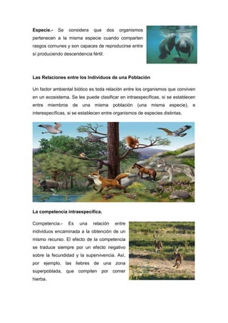 Especie.- Se considera que dos organismos
pertenecen a la misma especie cuando comparten
rasgos comunes y son capaces de reproducirse entre
sí produciendo descendencia fértil.
Las Relaciones entre los Individuos de una Población
Un factor ambiental biótico es toda relación entre los organismos que conviven
en un ecosistema. Se les puede clasificar en intraespecíficas, si se establecen
entre miembros de una misma población (una misma especie), e
interespecíficas, si se establecen entre organismos de especies distintas.
La competencia intraespecífica.
Competencia.- Es una relación entre
individuos encaminada a la obtención de un
mismo recurso. El efecto de la competencia
se traduce siempre por un efecto negativo
sobre la fecundidad y la supervivencia. Así,
por ejemplo, las liebres de una zona
superpoblada, que compiten por comer
hierba.
 
