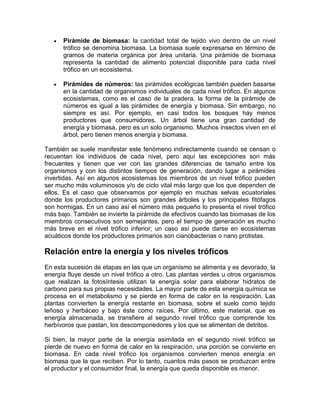 Pirámide de biomasa: la cantidad total de tejido vivo dentro de un nivel
trófico se denomina biomasa. La biomasa suele expresarse en término de
gramos de materia orgánica por área unitaria. Una pirámide de biomasa
representa la cantidad de alimento potencial disponible para cada nivel
trófico en un ecosistema.
Pirámides de números: las pirámides ecológicas también pueden basarse
en la cantidad de organismos individuales de cada nivel trófico. En algunos
ecosistemas, como es el caso de la pradera, la forma de la pirámide de
números es igual a las pirámides de energía y biomasa. Sin embargo, no
siempre es así. Por ejemplo, en casi todos los bosques hay menos
productores que consumidores. Un árbol tiene una gran cantidad de
energía y biomasa, pero es un solo organismo. Muchos insectos viven en el
árbol, pero tienen menos energía y biomasa.
También se suele manifestar este fenómeno indirectamente cuando se censan o
recuentan los individuos de cada nivel, pero aquí las excepciones son más
frecuentes y tienen que ver con las grandes diferencias de tamaño entre los
organismos y con los distintos tiempos de generación, dando lugar a pirámides
invertidas. Así en algunos ecosistemas los miembros de un nivel trófico pueden
ser mucho más voluminosos y/o de ciclo vital más largo que los que dependen de
ellos. Es el caso que observamos por ejemplo en muchas selvas ecuatoriales
donde los productores primarios son grandes árboles y los principales fitófagos
son hormigas. En un caso así el número más pequeño lo presenta el nivel trófico
más bajo. También se invierte la pirámide de efectivos cuando las biomasas de los
miembros consecutivos son semejantes, pero el tiempo de generación es mucho
más breve en el nivel trófico inferior; un caso así puede darse en ecosistemas
acuáticos donde los productores primarios son cianobacterias o nano protistas.
Relación entre la energía y los niveles tróficos
En esta sucesión de etapas en las que un organismo se alimenta y es devorado, la
energía fluye desde un nivel trófico a otro. Las plantas verdes u otros organismos
que realizan la fotosíntesis utilizan la energía solar para elaborar hidratos de
carbono para sus propias necesidades. La mayor parte de esta energía química se
procesa en el metabolismo y se pierde en forma de calor en la respiración. Las
plantas convierten la energía restante en biomasa, sobre el suelo como tejido
leñoso y herbáceo y bajo éste como raíces. Por último, este material, que es
energía almacenada, se transfiere al segundo nivel trófico que comprende los
herbívoros que pastan, los descomponedores y los que se alimentan de detritos.
Si bien, la mayor parte de la energía asimilada en el segundo nivel trófico se
pierde de nuevo en forma de calor en la respiración, una porción se convierte en
biomasa. En cada nivel trófico los organismos convierten menos energía en
biomasa que la que reciben. Por lo tanto, cuantos más pasos se produzcan entre
el productor y el consumidor final, la energía que queda disponible es menor.
 