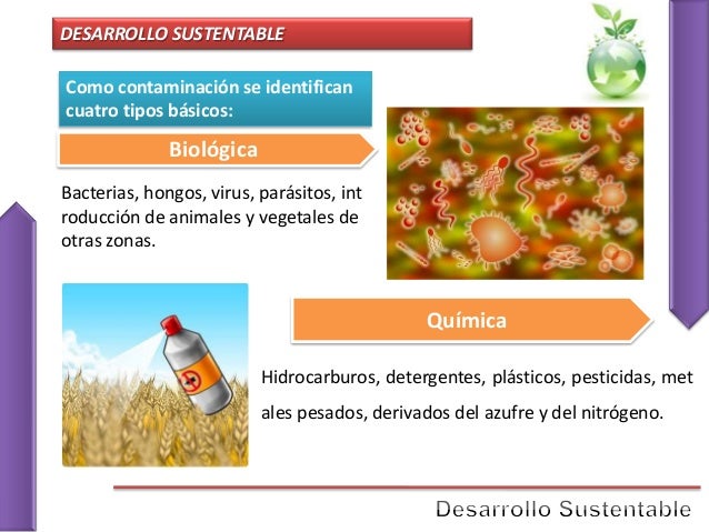 Unidad 5 Desarrollo Sustentable