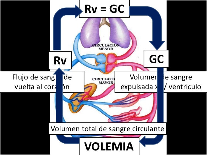 Unidad 5 farmacología cardiovascular Unidad 5 farmacología cardiovascular