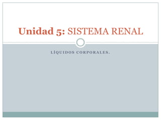 Líquidos Corporales. Unidad 5: SISTEMA RENAL Dr. Leonardo H. Hernandez 