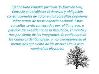 (3) Consulta Popular (artículo 35 fracción VIII).
Consiste en establecer el derecho y obligación
constitucionales de votar en las consultas populares
sobre temas de trascendencia nacional. Estas
consultas serán convocadas por el Congreso, a
petición del Presidente de la República, el treinta y
tres por ciento de los integrantes de cualquiera de
las Cámaras del Congreso, o los ciudadanos en al
menos dos por ciento de los inscritos en la lista
nominal de electores.
 