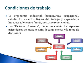  La ergonomía industrial, biomecánica ocupacional,
estudia los aspectos físicos del trabajo y capacidades
humanas tales como fuerza, postura y repeticiones.
 Los "Factores Humanos", tiene, en cuenta los aspectos
psicológicos del trabajo como la carga mental y la toma de
decisiones
 