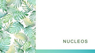 PA R T E S
NUCLEOS
 