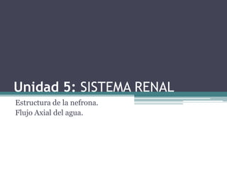 Unidad 5: SISTEMA RENAL Estructura de la nefrona.  Flujo Axial del agua.  Dr. Leonardo H. Hernandez 