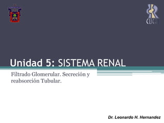 Unidad 5: SISTEMA RENAL Filtrado Glomerular. Secreción y reabsorción Tubular.  Dr. Leonardo H. Hernandez 