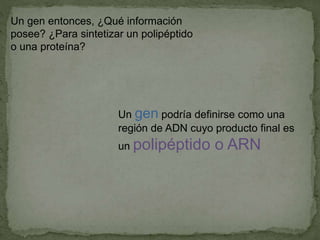 Un gen entonces, ¿Qué información
posee? ¿Para sintetizar un polipéptido
o una proteína?
Un gen podría definirse como una
región de ADN cuyo producto final es
un polipéptido o ARN
 