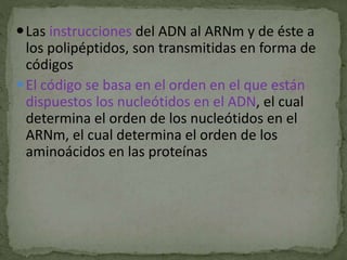 Las instrucciones del ADN al ARNm y de éste a
los polipéptidos, son transmitidas en forma de
códigos
El código se basa en el orden en el que están
dispuestos los nucleótidos en el ADN, el cual
determina el orden de los nucleótidos en el
ARNm, el cual determina el orden de los
aminoácidos en las proteínas
 
