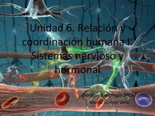 Unidad 6. Relación y
coordinación humana I.
Sistemas nervioso y
hormonal
Biología y geología 3ºESO
Marta Gómez Vera
 
