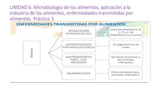 Microbiologia de los alimentos. | PPTX