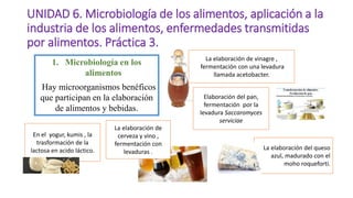 Tema 6. Alteraciones Microbianas De Los Alimentos – TYAQZG