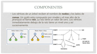 COMPONENTES
• Los vértices de un árbol reciben el nombre de nodos y los lados de
ramas. Un grafo esta compuesto por niveles y el mas alto de la
jerarquía se llama raíz .La raíz tiene un valor de cero. Los vértices
inmediatamente debajo de la raíz tiene un nivel uno y así
sucesivamente.
• Descendientes : Todos aquellos que están debajo de un nodo.
 