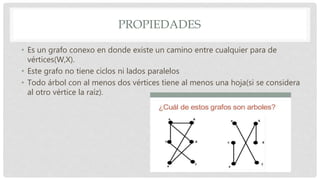 PROPIEDADES
• Es un grafo conexo en donde existe un camino entre cualquier para de
vértices(W,X).
• Este grafo no tiene ciclos ni lados paralelos
• Todo árbol con al menos dos vértices tiene al menos una hoja(si se considera
al otro vértice la raíz).
 