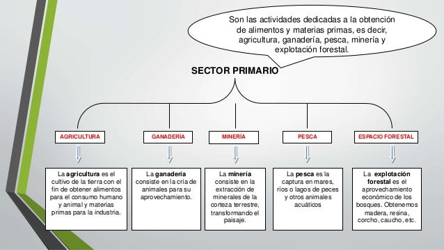 Unidad 6. actividad primaria