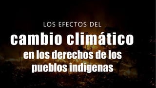 LOS EFECTOS DEL
cambio climático
en los derechos de los
pueblos indígenas
 