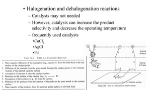 Comprehensive Overview of Catalysis and Catalytic Reactors in Chemical ...