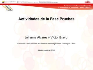 Actividades de la Fase Pruebas
Johanna Alvarez y Víctor Bravo1
Fundación Centro Nacional de Desarrollo e Investigación en Tecnologías Libres
Mérida, Abril de 2015
 