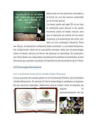 debe estar en los procesos naturales y
la forma de vivir de manera sostenible
en el mundo actual.
La mayor parte del siglo 20 no se hizo
lo suficiente para educar a los seres
humanos sobre el medio natural, sino
que la atención se centró en los seres
humanos y la enseñanza de cómo vivir
bien en una sociedad industrial. Para
ser eficaz, la educación ambiental debe comenzar a una edad temprana.
Un componente clave de la educación primaria debe ser el aprendizaje
sobre el medio natural y la forma de apreciar la naturaleza. En particular,
los niños deben ser expuestos a la educación práctica en ambientes al aire
libre para que puedan visualizar la importancia del ecosistema de la Tierra.
6.5 Estrategias Normativas
6.5.1 Constitución Política de los Estados Unidos Mexicanos
La ley suprema de nuestra patria es la Constitución Política de los Estados
Unidos Mexicanos. El artículo 27 de la Carta Magna establece el régimen
de los recursos naturales. Determina que la nación tiene el derecho de
regular el
aprovechamiento de los
 