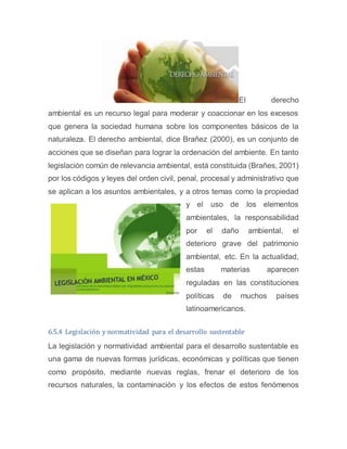 El derecho
ambiental es un recurso legal para moderar y coaccionar en los excesos
que genera la sociedad humana sobre los componentes básicos de la
naturaleza. El derecho ambiental, dice Brañez (2000), es un conjunto de
acciones que se diseñan para lograr la ordenación del ambiente. En tanto
legislación común de relevancia ambiental, está constituida (Brañes, 2001)
por los códigos y leyes del orden civil, penal, procesal y administrativo que
se aplican a los asuntos ambientales, y a otros temas como la propiedad
y el uso de los elementos
ambientales, la responsabilidad
por el daño ambiental, el
deterioro grave del patrimonio
ambiental, etc. En la actualidad,
estas materias aparecen
reguladas en las constituciones
políticas de muchos países
latinoamericanos.
6.5.4 Legislación y normatividad para el desarrollo sustentable
La legislación y normatividad ambiental para el desarrollo sustentable es
una gama de nuevas formas jurídicas, económicas y políticas que tienen
como propósito, mediante nuevas reglas, frenar el deterioro de los
recursos naturales, la contaminación y los efectos de estos fenómenos
 